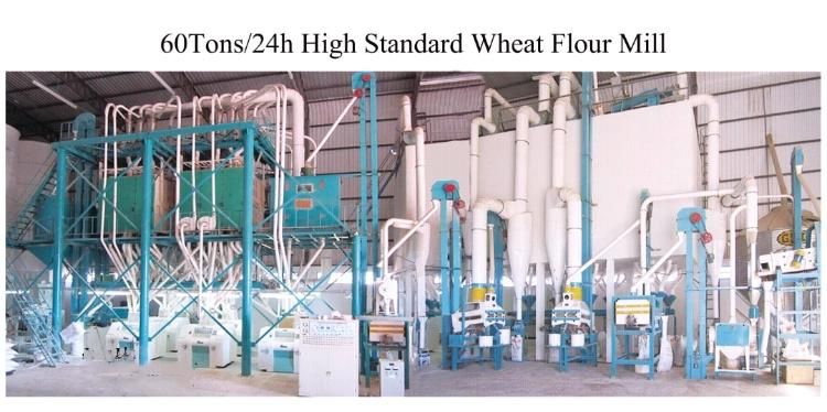 60t Brazil Running Wheat Flour Mill Machine with Price