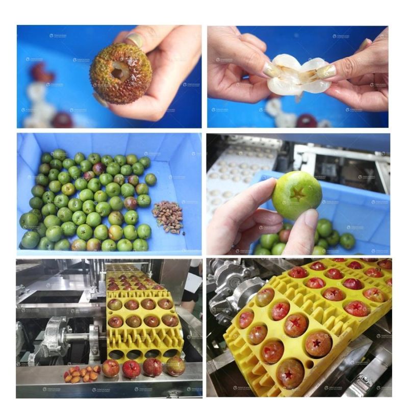 Cl-I Industry Automatic Oliva Litchi Cherry Plum Peach Core Removing Machine