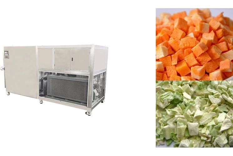 Fruit Dehydrator Machines Vacuum Food Lyophilizer Price Vegetable Freeze Drying Machine