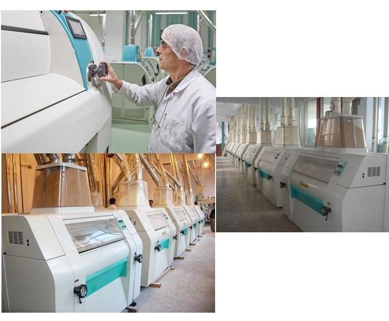 Low Energy Consumption Wheat Flour Milling Line with High Output