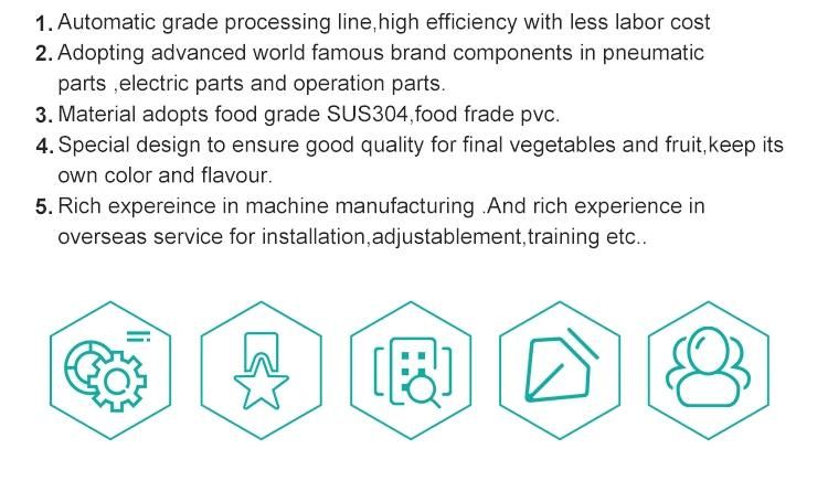 Automatic Vegetable and Fruit Washing Production Line Salad Processing