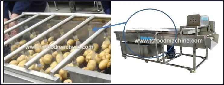 Potato Peeling Washer Washing Machine and Brush Washing Machine