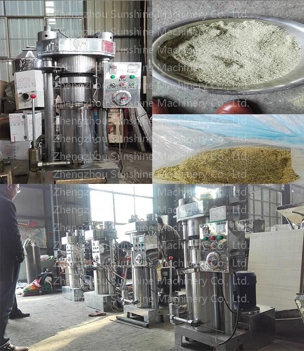 Ce Quality White Sesame Almond Peanut Hydraulic Oil Press Expeller