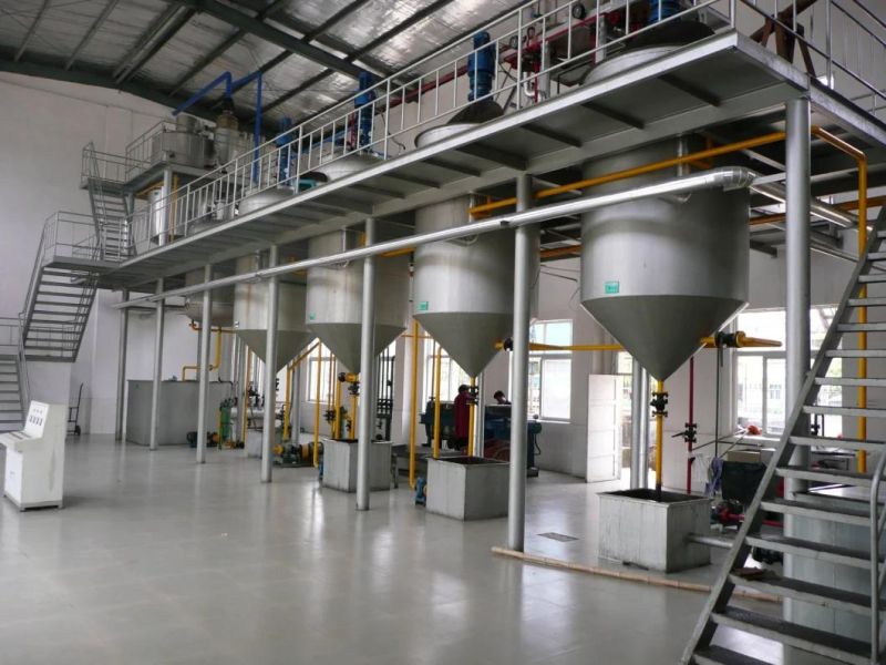 Sunflower Oil Pressing and Solvent Extraction Machine