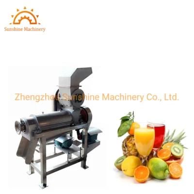 Commercial Apple Lemon Carrot Fruit Onion Ginger Vegetable Juicer Machine