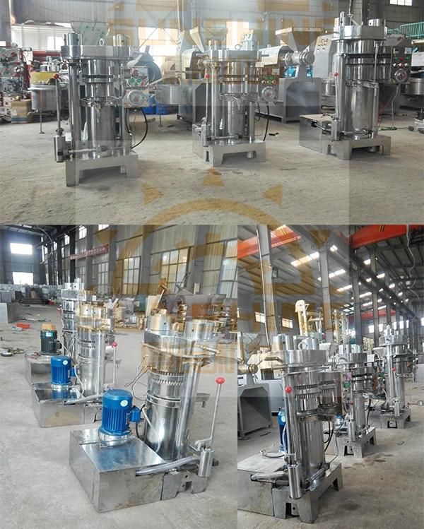 Coconut Oil Making Machine Olive Oil Press Machine for Sale