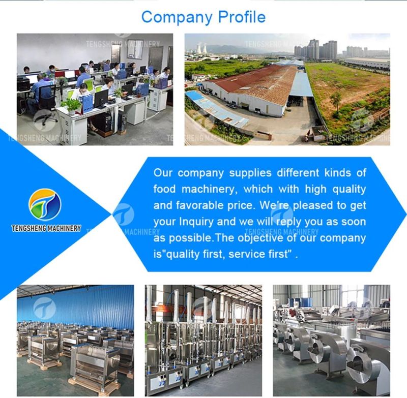 Commercial Fruit and Vegetable Processing Line Food Processor Equipment Fruit Vortex Washer Potato Chip Ginger Industrial Washing Machine Chilli Cleaner