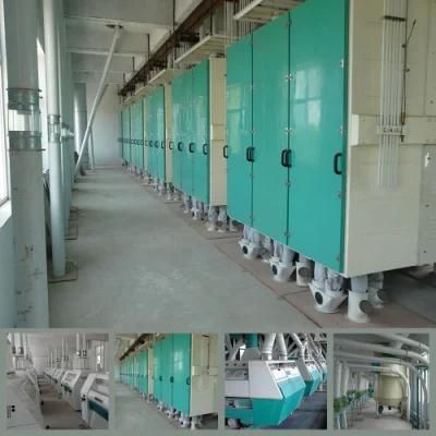 300t/24h Wheat Flour Mill