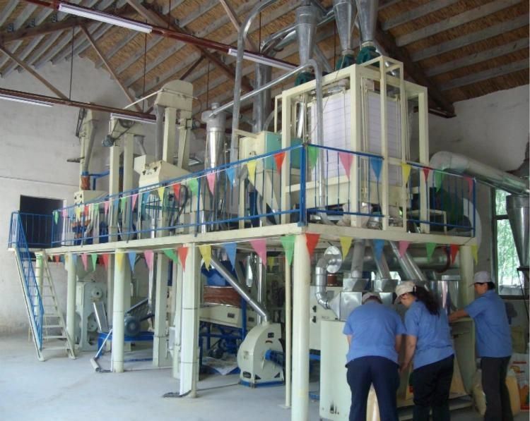 Maize Flour Mill with Silos and All Associated Accessories for The 100mt/Day Capacity