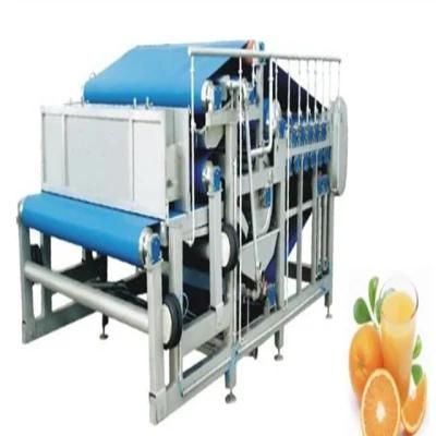 Automatic Complete Mango Juice Equipment