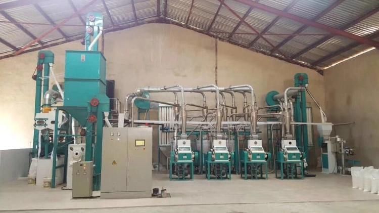 Hongdefa Good Feedback 30t/24h Maize Flour Mill Machine South Africa