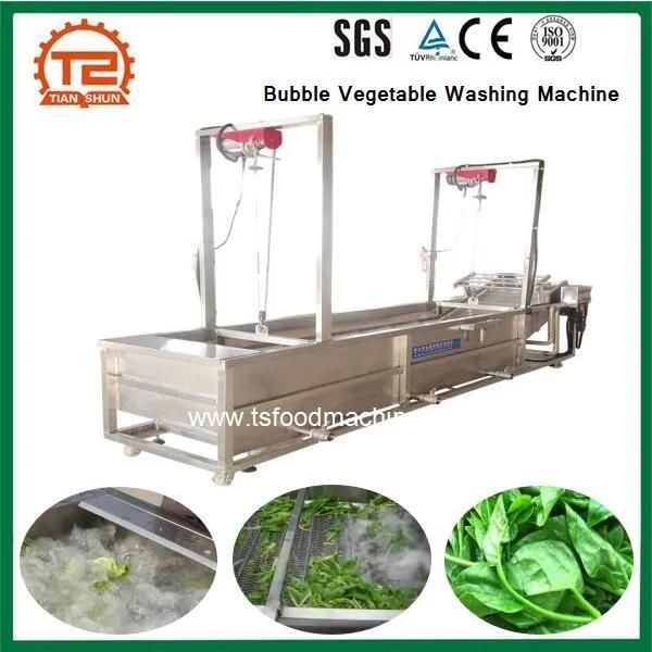 Vegetable Bubble Washing Machinery Salad Washing Machine