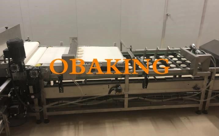 Whole Sets Automatic Burger Buns Production Line with Hotdog Buns Breads Making Machine