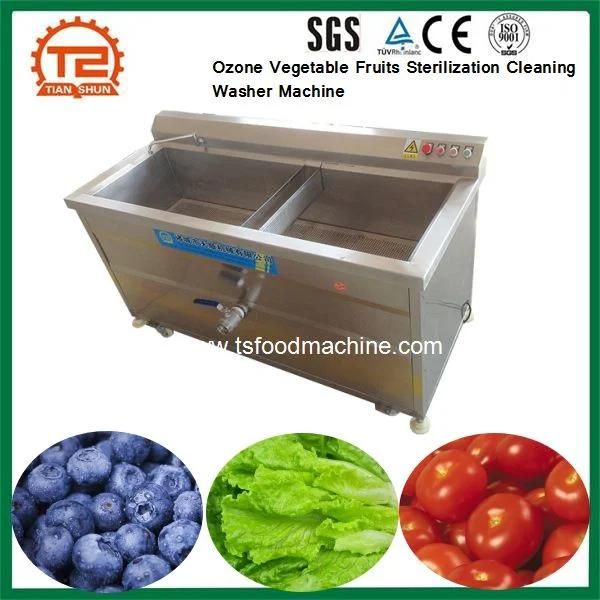 Food Sterilizer Ozone Vegetable Fruits Sterilization Cleaning Washer Machine
