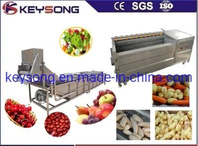 Food Machinery Brush Rollers Fruit Vegetable Washing Machine