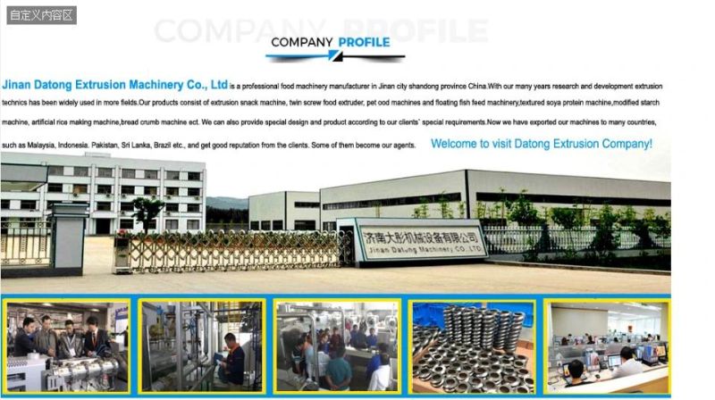 Extrusion Systems Production Line of Puff Snack for Chip/Cracker/Cheese Ball From China