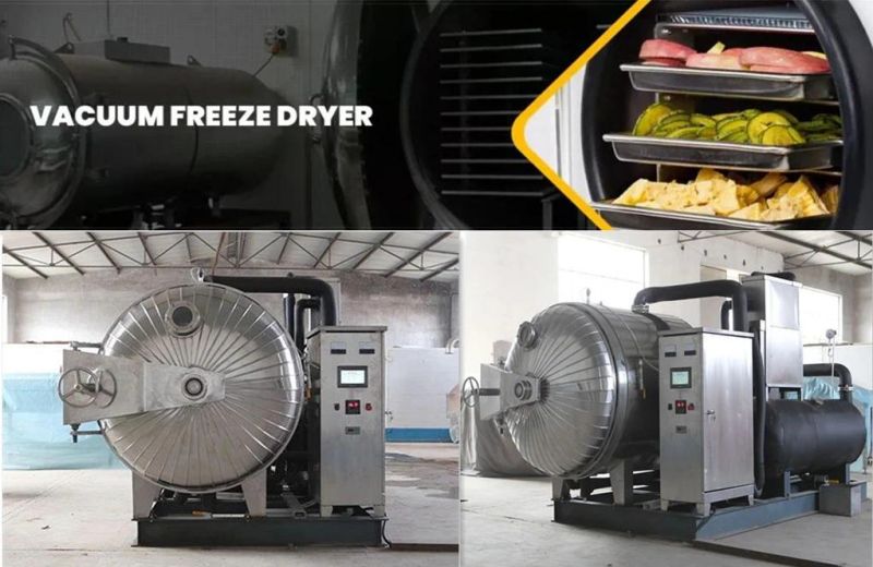 Banana Freeze Drying Machine Banana Freeze Dryer