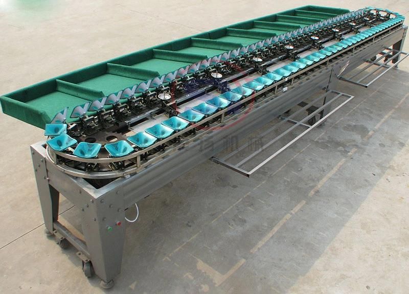 Popular Fruit&Vegetable Weight Grading Sorting Machine Single Side