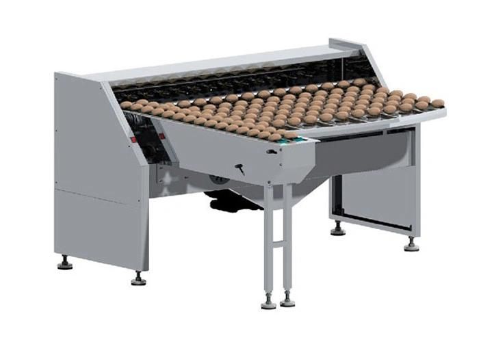 Full Automatic Egg Sorting Machine