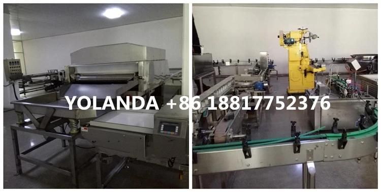 Fully Automatic Canned Tuna in Oil Processing Line