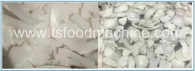 Food Equipment Conveyor Mesh Belt Coconut Chips Dryer and Drying Cooling Machine