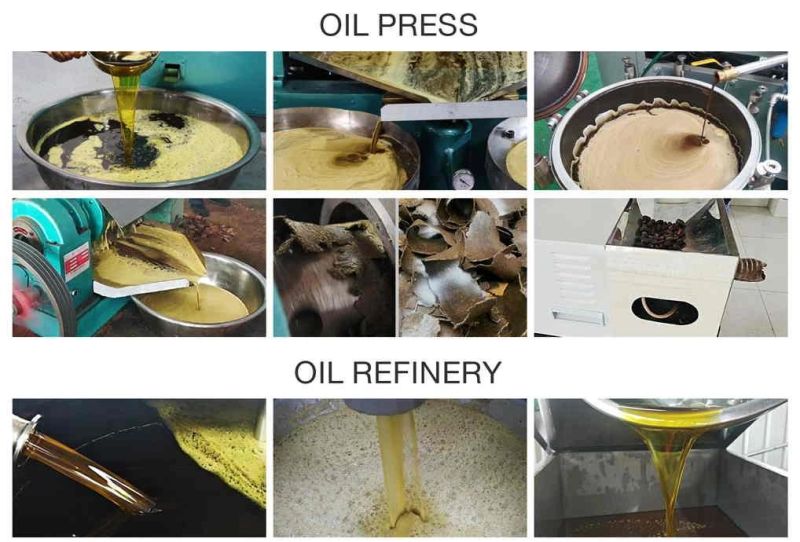 Guangxin Brand Groundnut Oil Extraction Machine Price