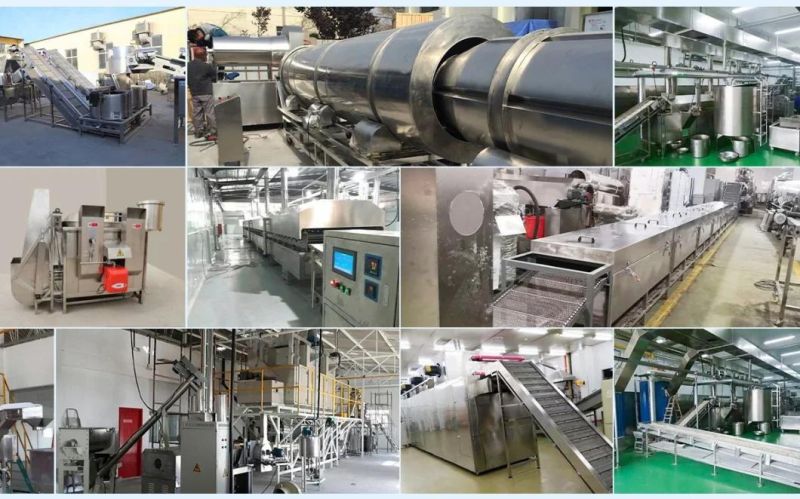 Professional Twin Screw Extruder Production Line Artificial Rice Making Machine Fortified Rice Machine