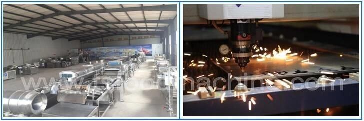 Maize Corn Washing Machine and Radish Washer Machine