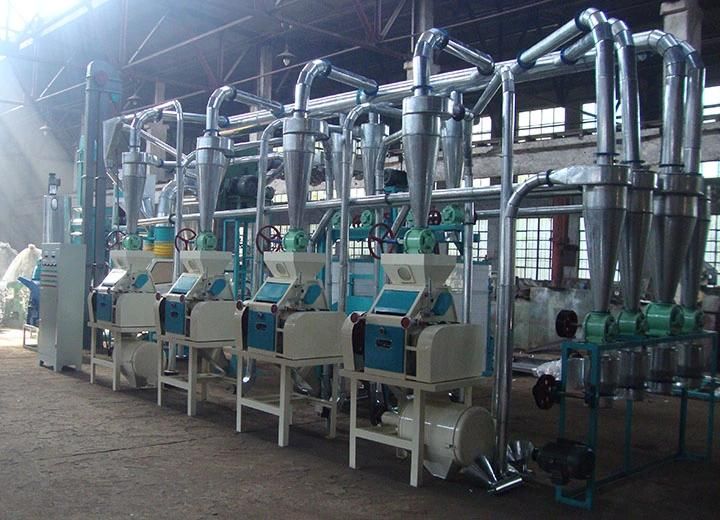 20t/D Maize Milling Machine with Low Price