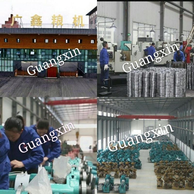 Factory Price Black Sesame Seed Oil Pressing Peanut Oil Press Machine for Sale