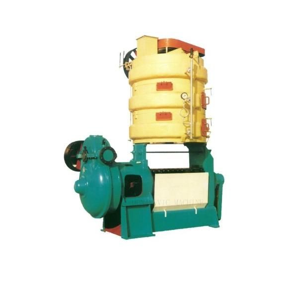 Cold Press Oil Machine, Sunflower Oil Press Machine (YZ-12L)