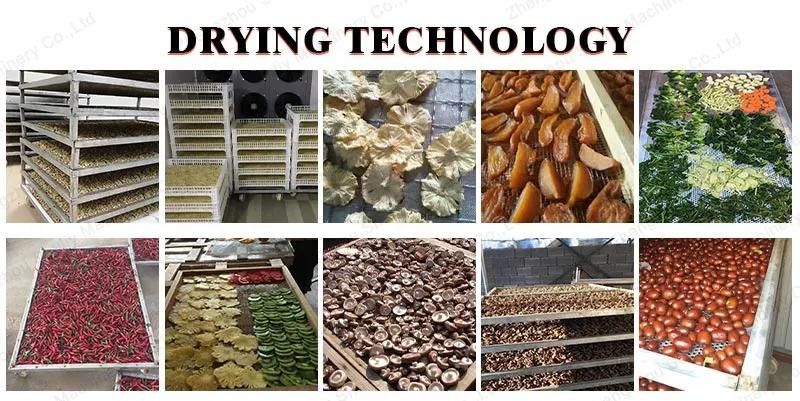 Automatic Onion Beef Jerky Maize Grain Dryer Drying Machine