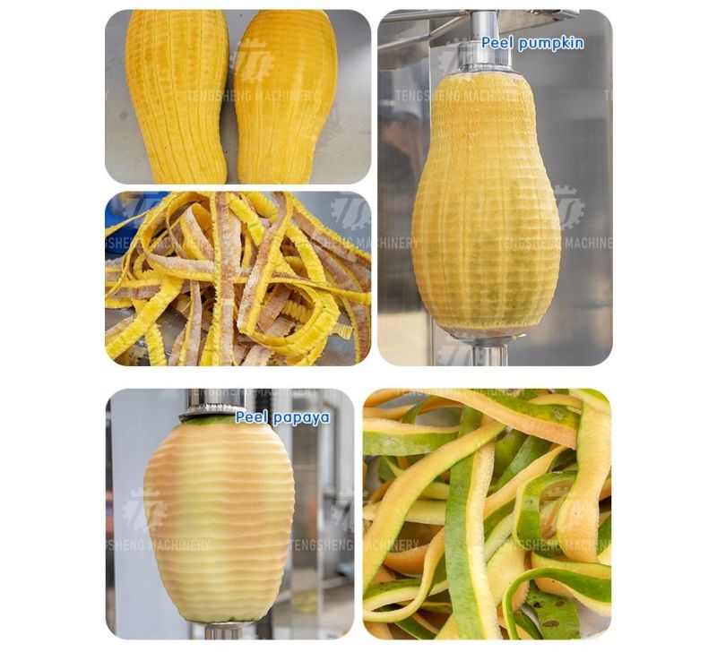 Industrial Food Processor Pineapple Squash Pumpkin Peeler Peeling Machine TS-P100