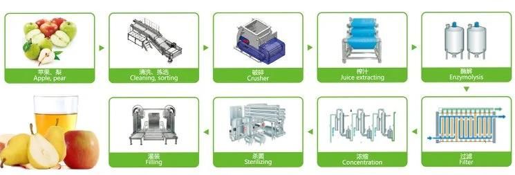 Mini Fruit Juice Production Line for 2000 Bottles Per Hour