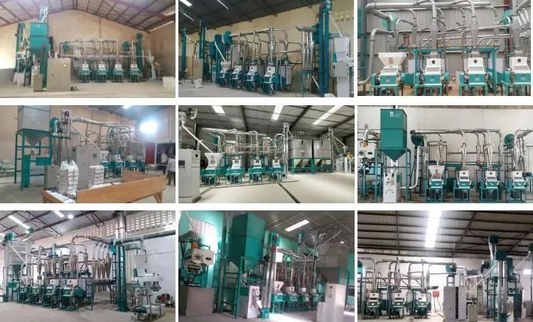 High Quality 30t/24h Corn Milling Machine Running in Nigeria Make Flour