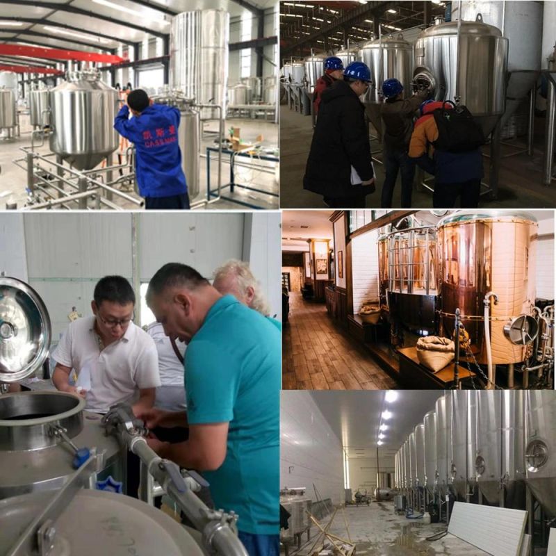 Stainless Steel 200L Cassman Micro Brewery Equipment for Restaurant