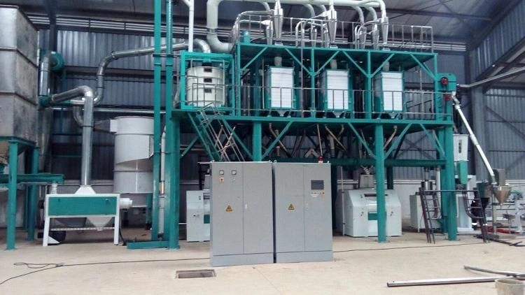 Hongdefa Special Design for Africa Mealie Milling Flour Process Equipment