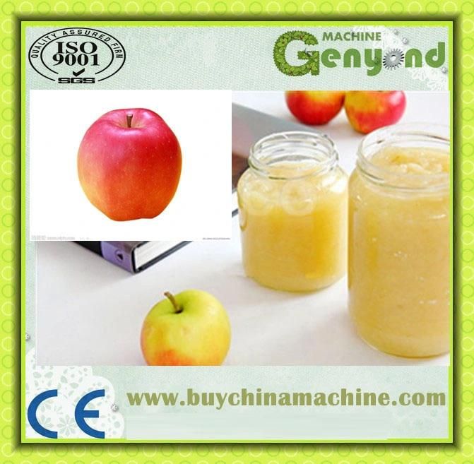 Professional Automatic Mango Jam Production Line