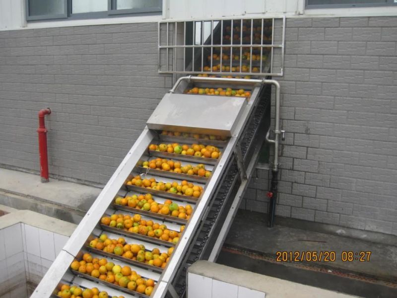 Automatic Mango and Orange Processing Line (2-40TPH)