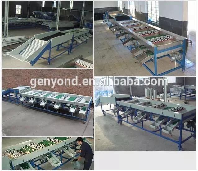 China Factory Industrial Potato Sorting Machine