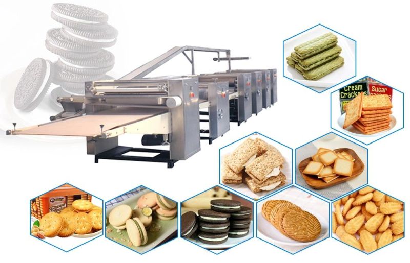 Industry Automatic Soft and Hard Biscuit Production Line Price Biscuit Manufacturing Plant Biscuit Machine Biscuit Machinery Biscuit Making Machine