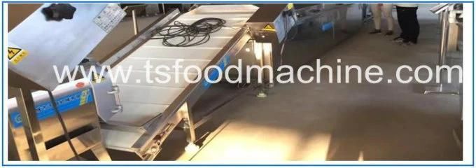 Hoister and Hoist Machine for Potato Chips Production Line