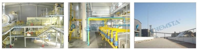 Cottonseed Protein Machine/Plant/Production Line/Technology