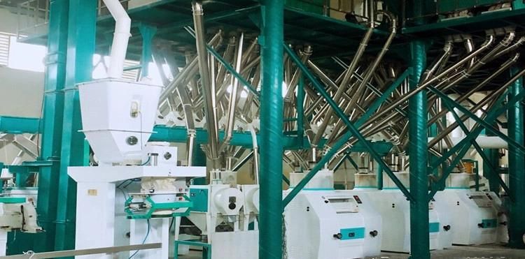 China Manufacturer 100t Maize Mill Plant High Quality