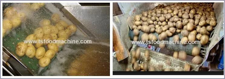 Fully SUS304 Brush Roller Ginger Taro Potato Peeling Machine