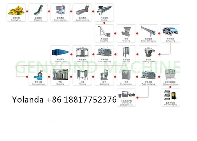 Top Quality Complete Prickly Pear Processing Machine