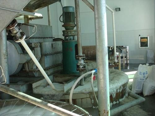 Vacuum Sea Salt Production Line