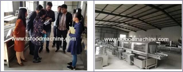 Gas Heating Industrial Chips and Snack Food Machine