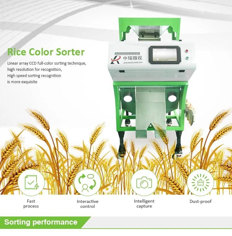 Agricultural Sorting Machinery Rice Machine for Rice Mill Machine