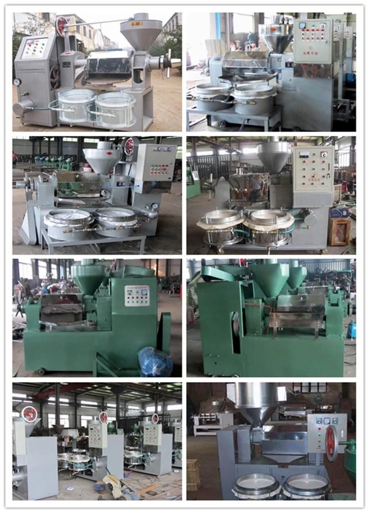 CE Certificate Cold Press Oil Making Machine